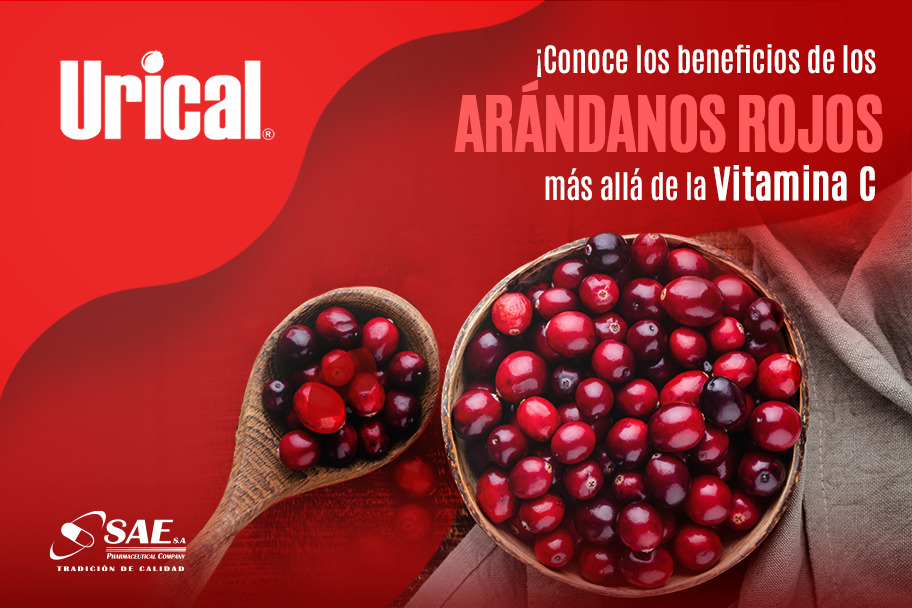 ¡Conoce los beneficios de los ARÁNDANOS ROJOS más allá de la Vitamina C