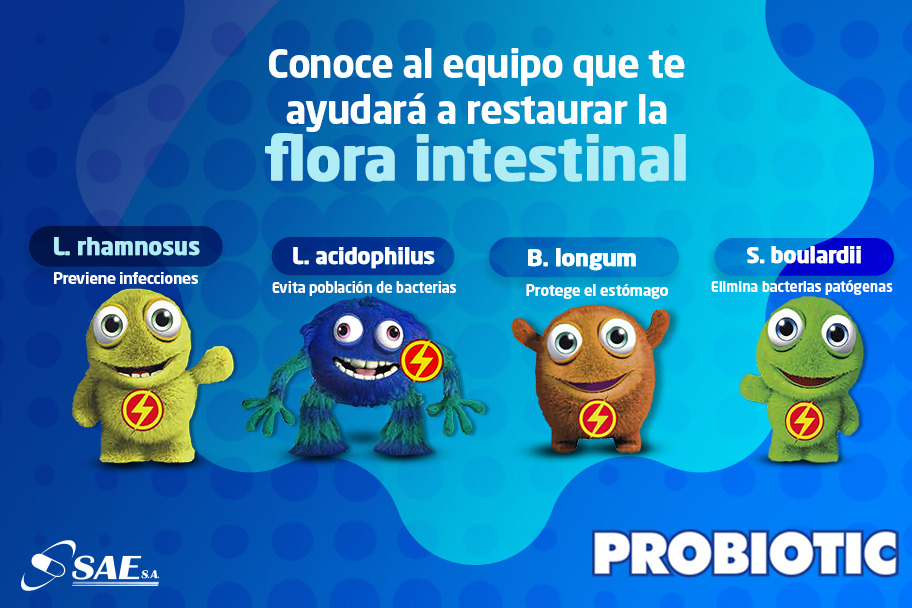 Conoce al equipo que te ayudará a restaurar la flora intestinal
