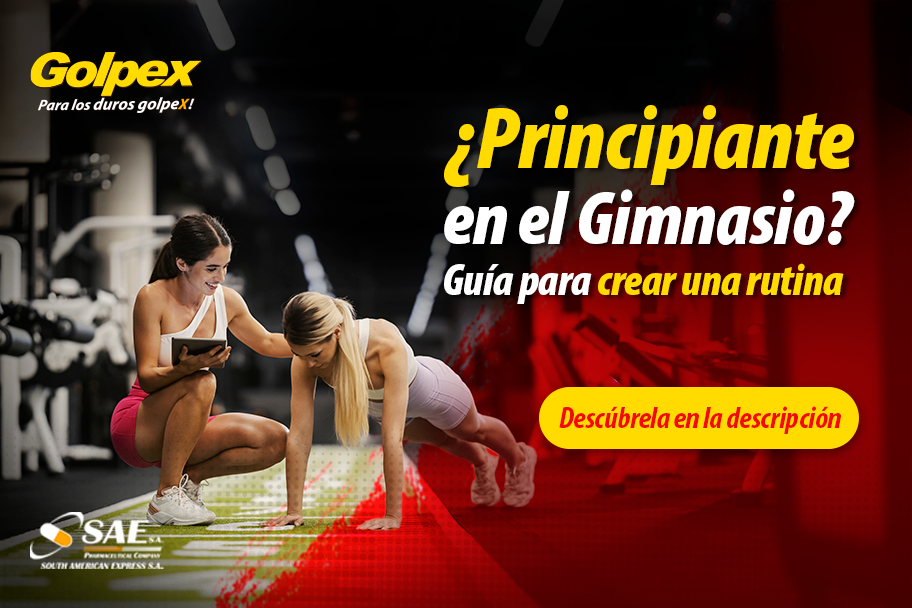 ¿Principiante en el Gimnasio? Guía para crear una rutina 