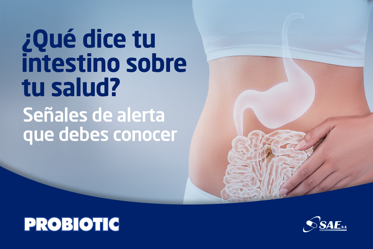 ¿Qué dice tu intestino sobre tu salud? Señales de alerta que debes conocer
