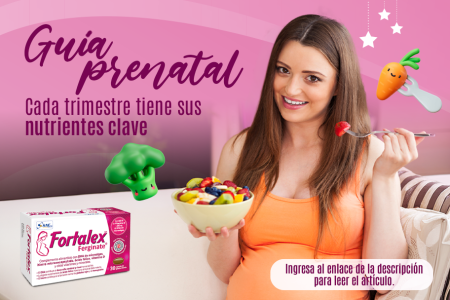 Guía prenatal: Cada trimestre tiene sus nutrientes clave 